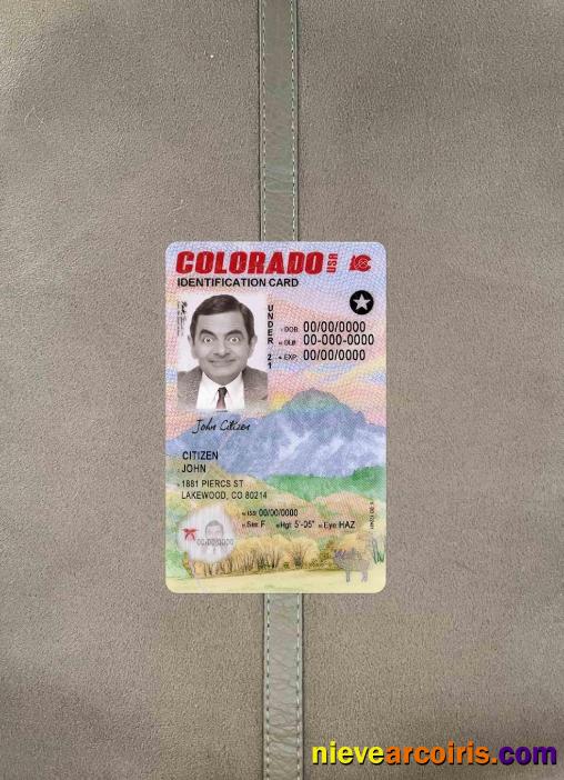 USA Colorado ID card under 21 photolook